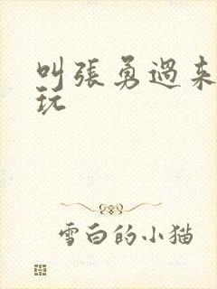 叫张勇过来一起玩