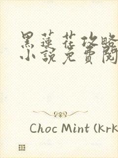 黑莲花攻略手册小说免费阅读全文