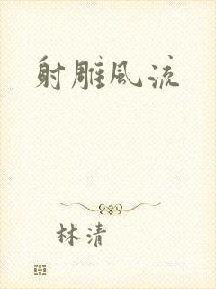 射雕风流