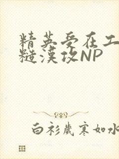 精英受在工地被糙汉攻NP