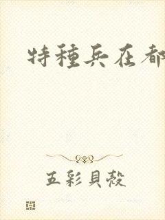 特种兵在都市