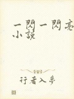 一闪一闪亮星星小说