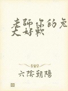 老师你的兔子好大好软