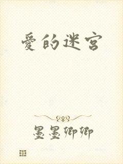 爱的迷宫