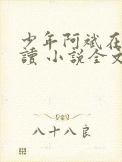 少年阿斌在线阅读 小说全文免费
