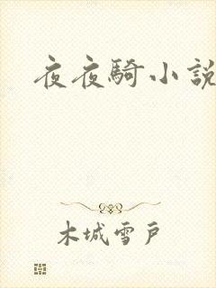 夜夜骑小说