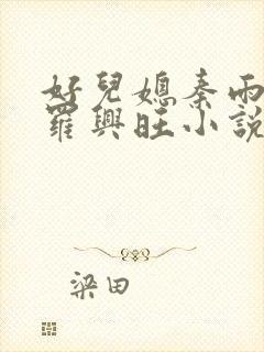 好儿媳秦雨罗明罗兴旺小说