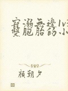 宠溺无边1v3双胞胎的小说