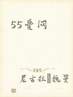 55爱网