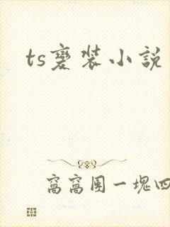 ts变装小说
