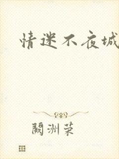 情迷不夜城