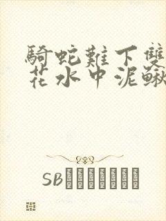 骑蛇难下双金银花水中泥鳅双男主