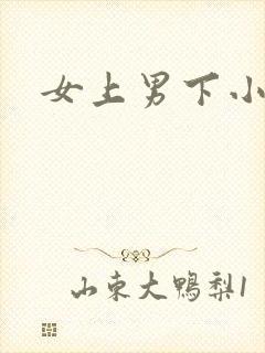 女上男下小说