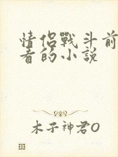 情侣战斗前适合看的小说