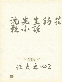 沈先生的花式管教小说