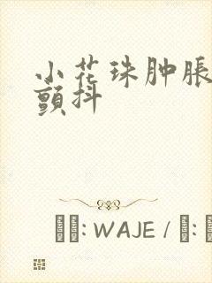 小花珠肿胀挺立颤抖