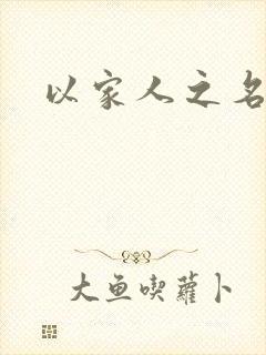 以家人之名小说