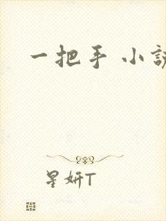 一把手 小说