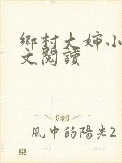 乡村大婶小说全文阅读