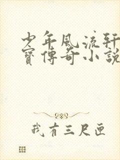 少年风流轩辕大宝传奇小说