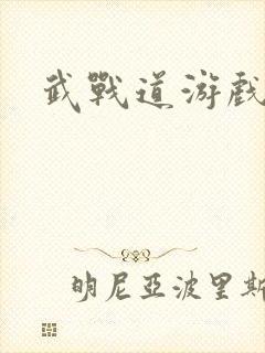 武战道游戏