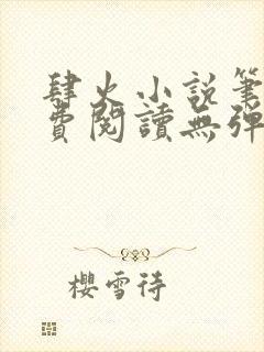 肆火小说笔趣免费阅读无弹窗