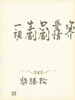 一生只爱你 电视剧剧情介绍