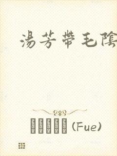 汤芳带毛阴部
