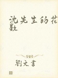 沈先生的花式调数