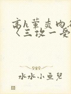 高h荤爽肉欲文〈三攻一受