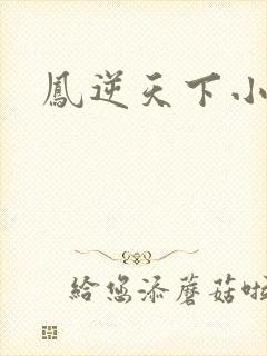 凤逆天下小说