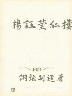 杨钰莹红楼