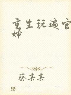 重生玩遍官场贵妇