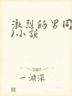 激烈的男同(h)小说