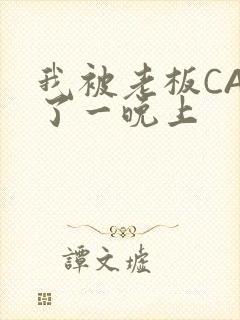 我被老板CAO了一晚上