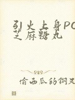 引火上身POP芝麻糖丸