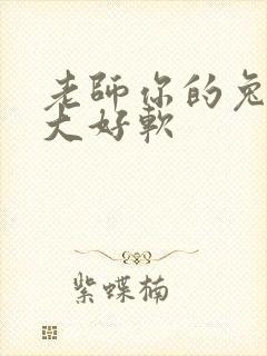 老师你的兔子好大好软