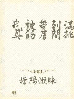 我被带到满是玩具的房间挑调游戏