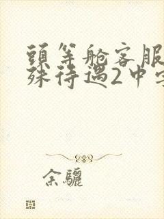 头等舱客服的特殊待遇2中字