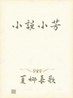 小说小芳