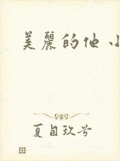 美丽的他 小说
