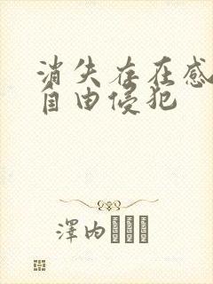 消失存在感消失自由侵犯