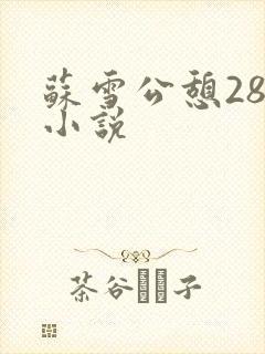 苏雪公憩28篇小说
