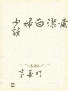 少妇白洁黄色小说
