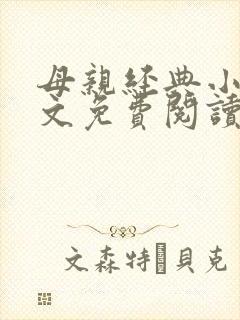 母亲经典小说全文免费阅读