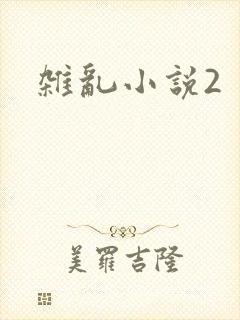 杂乱小说2