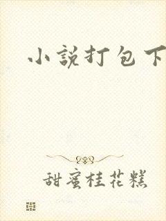 小说打包下载