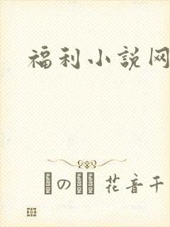 福利小说网