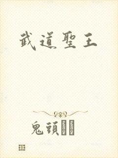 武道圣王