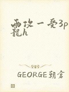 两攻一受3p双龙h